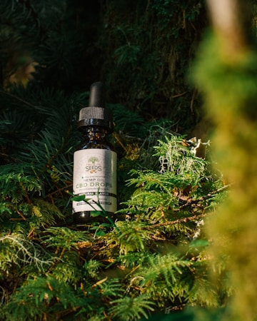 A bottle of hemp oil CBD drops rests amidst lush green foliage, illuminated by natural sunlight. The label features a logo with text and the bottle is fitted with a black dropper cap.
