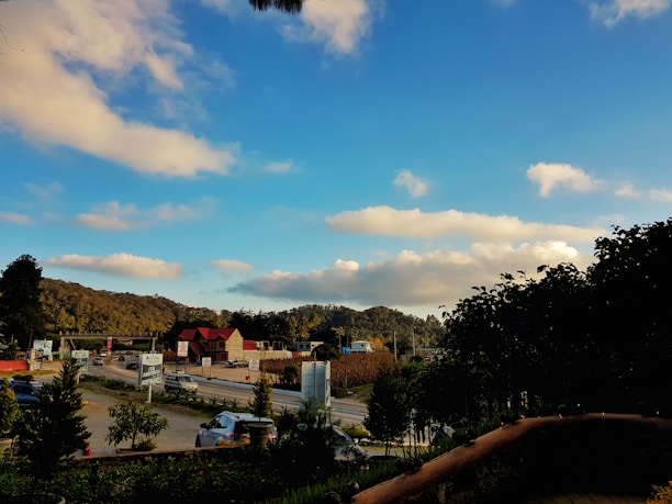 A scenic view of Basingstoke streets where driving lessons take place.