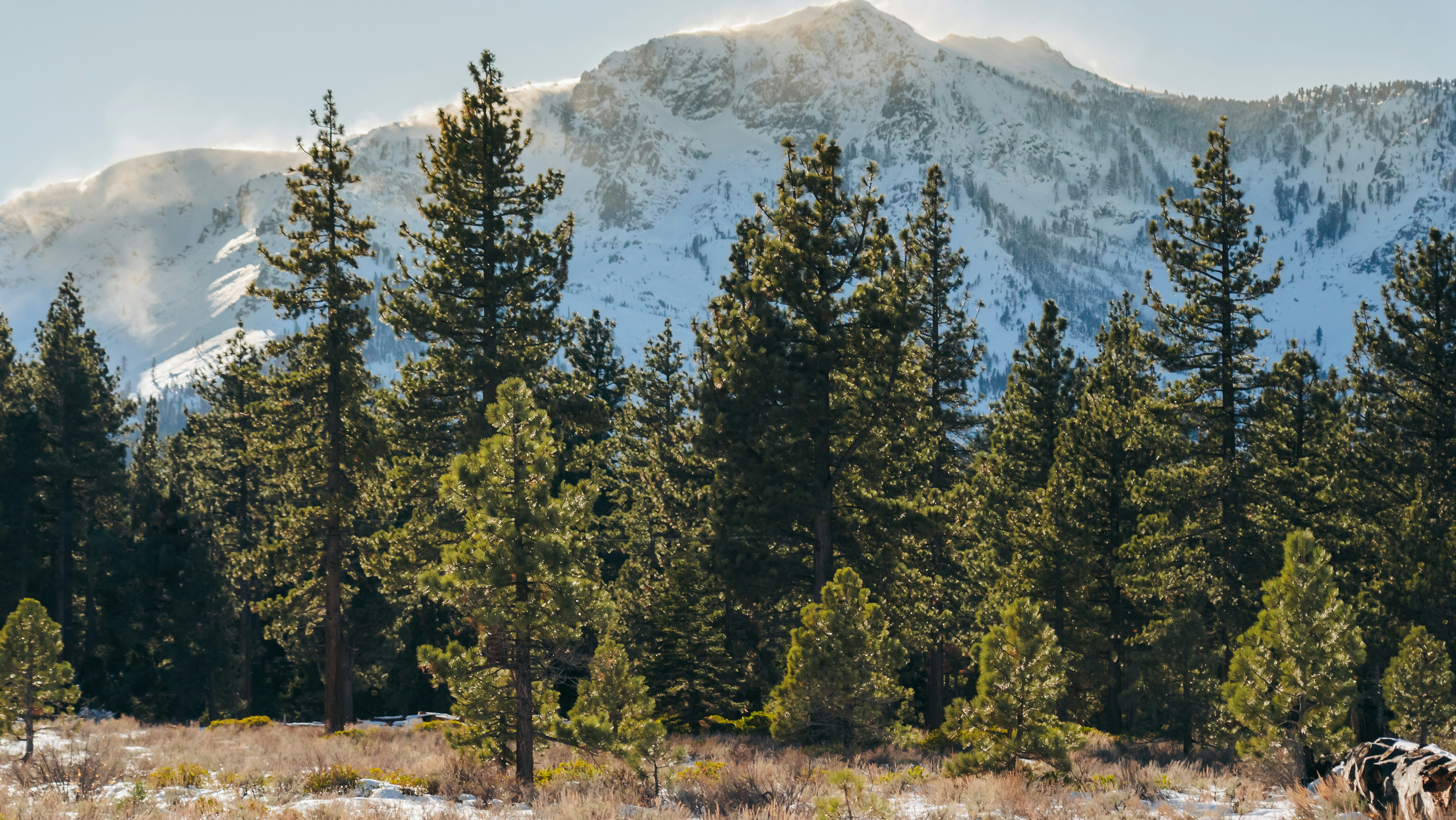 Photo by kalaniparker