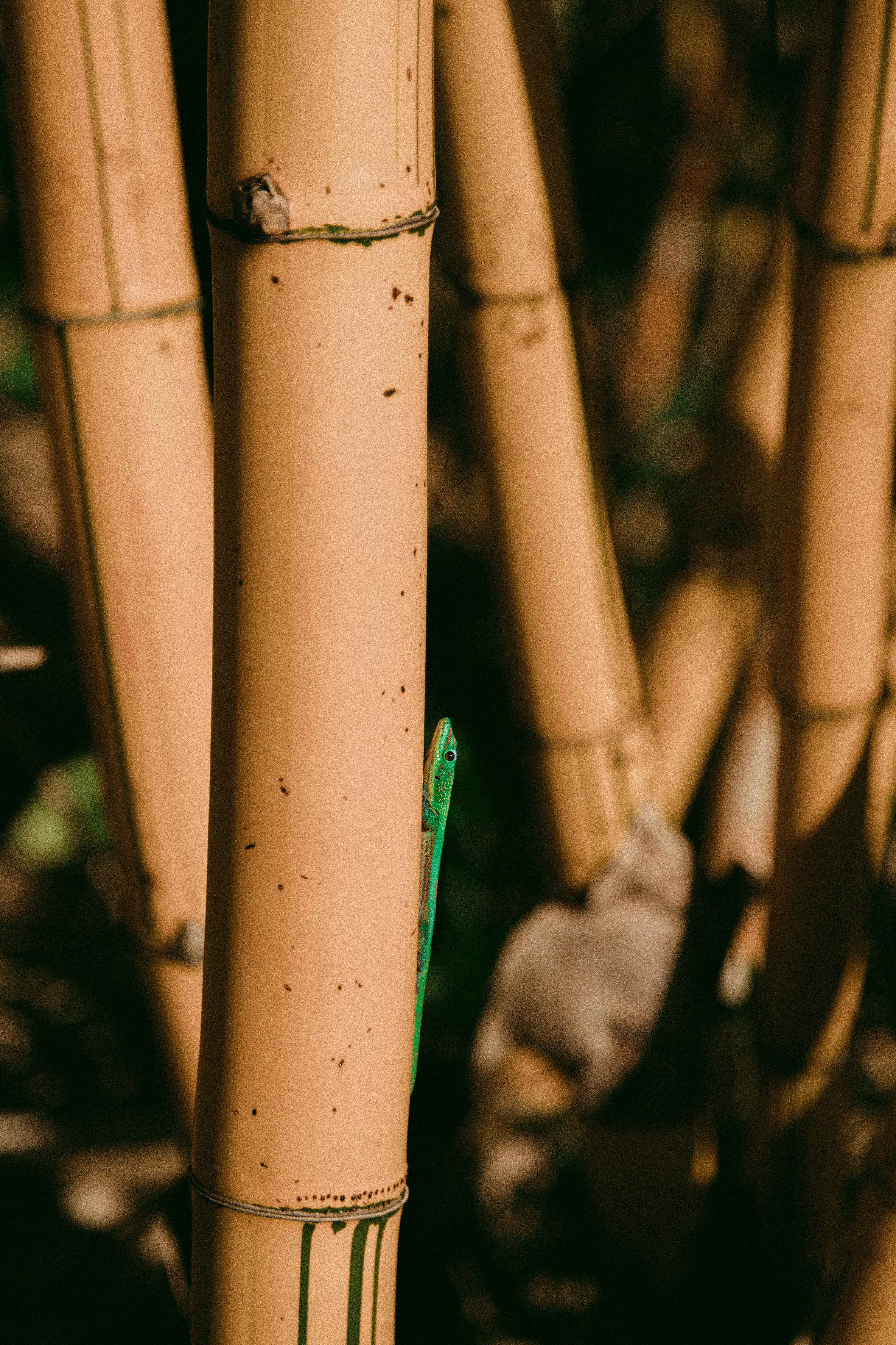 Photo by jakobowens1