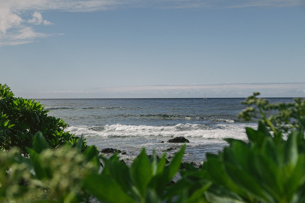 wide angle photo of ocean