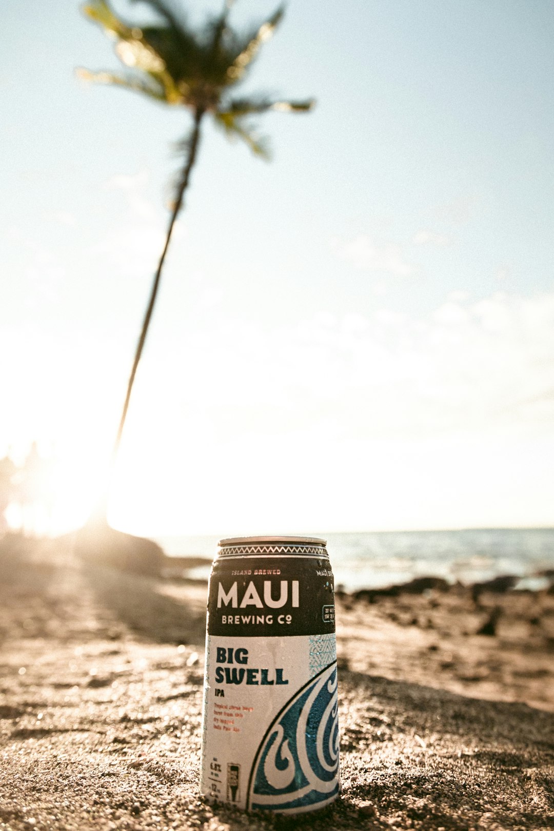 Maui Big Swell can
