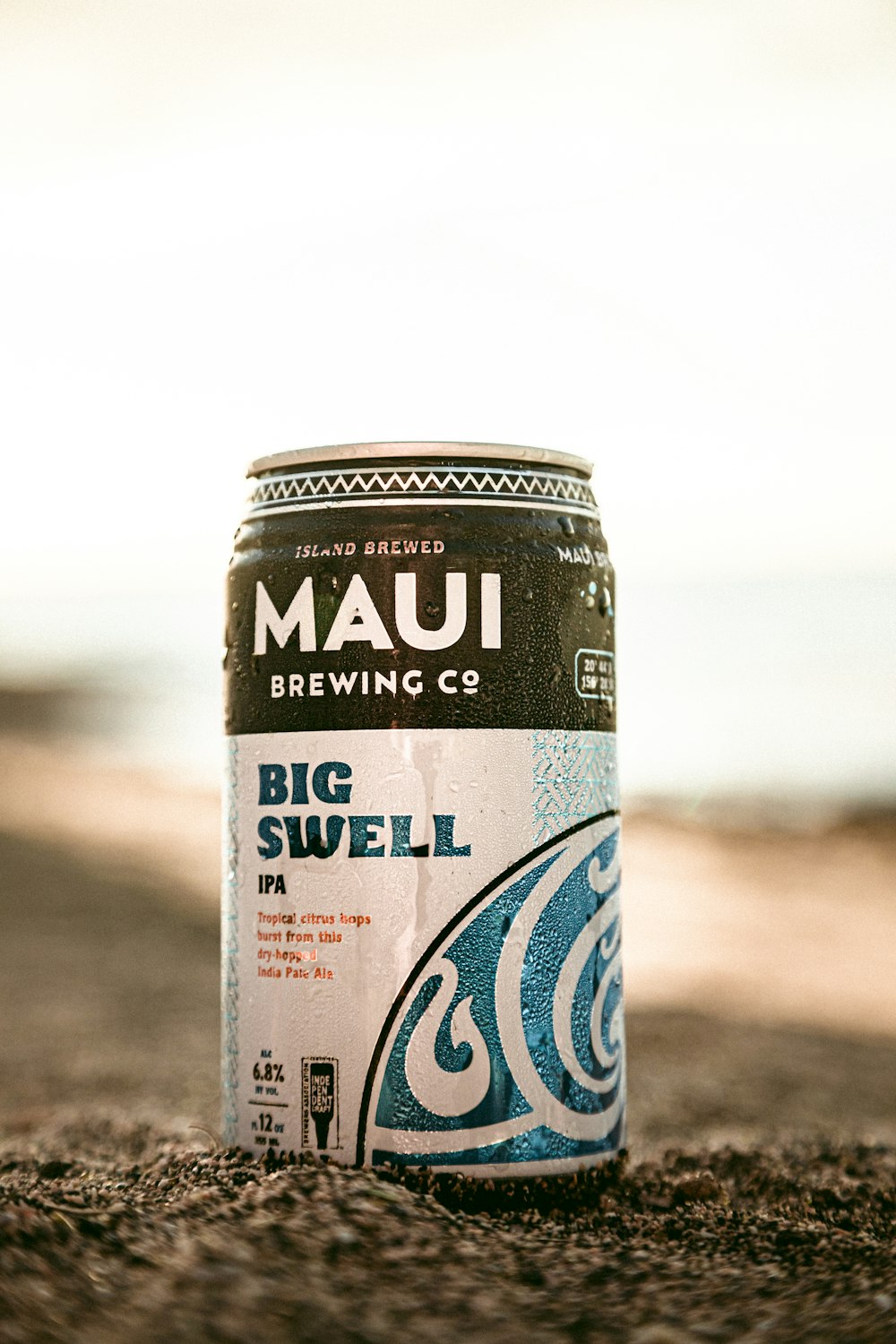 Maui Big Swell can