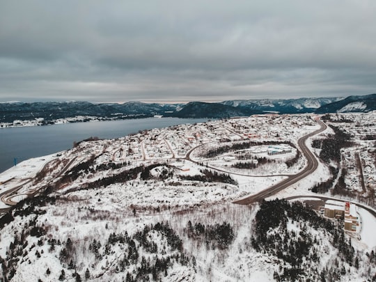 Corner Brook things to do in Lark Harbour