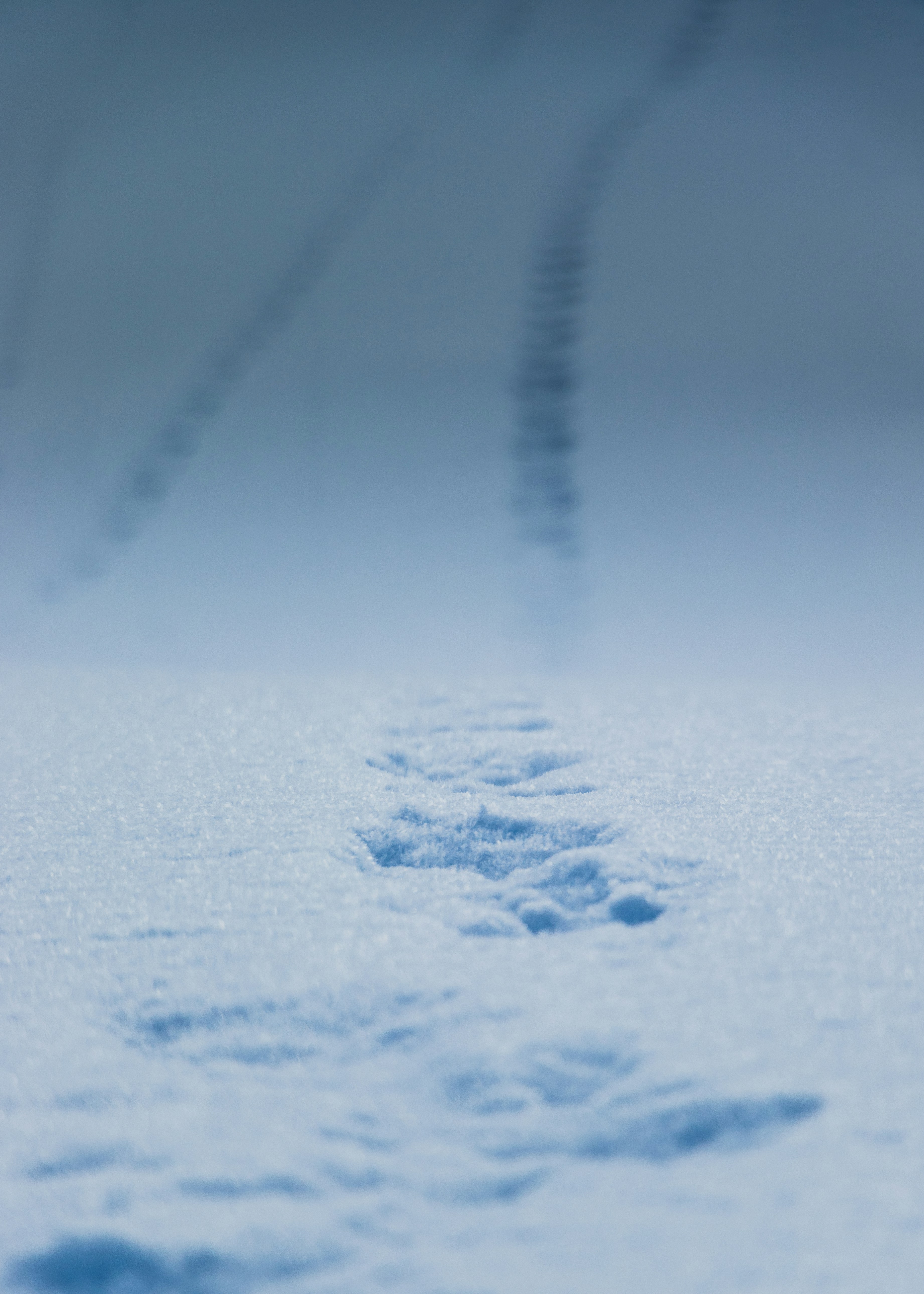 [Newer York] A snowball in hell