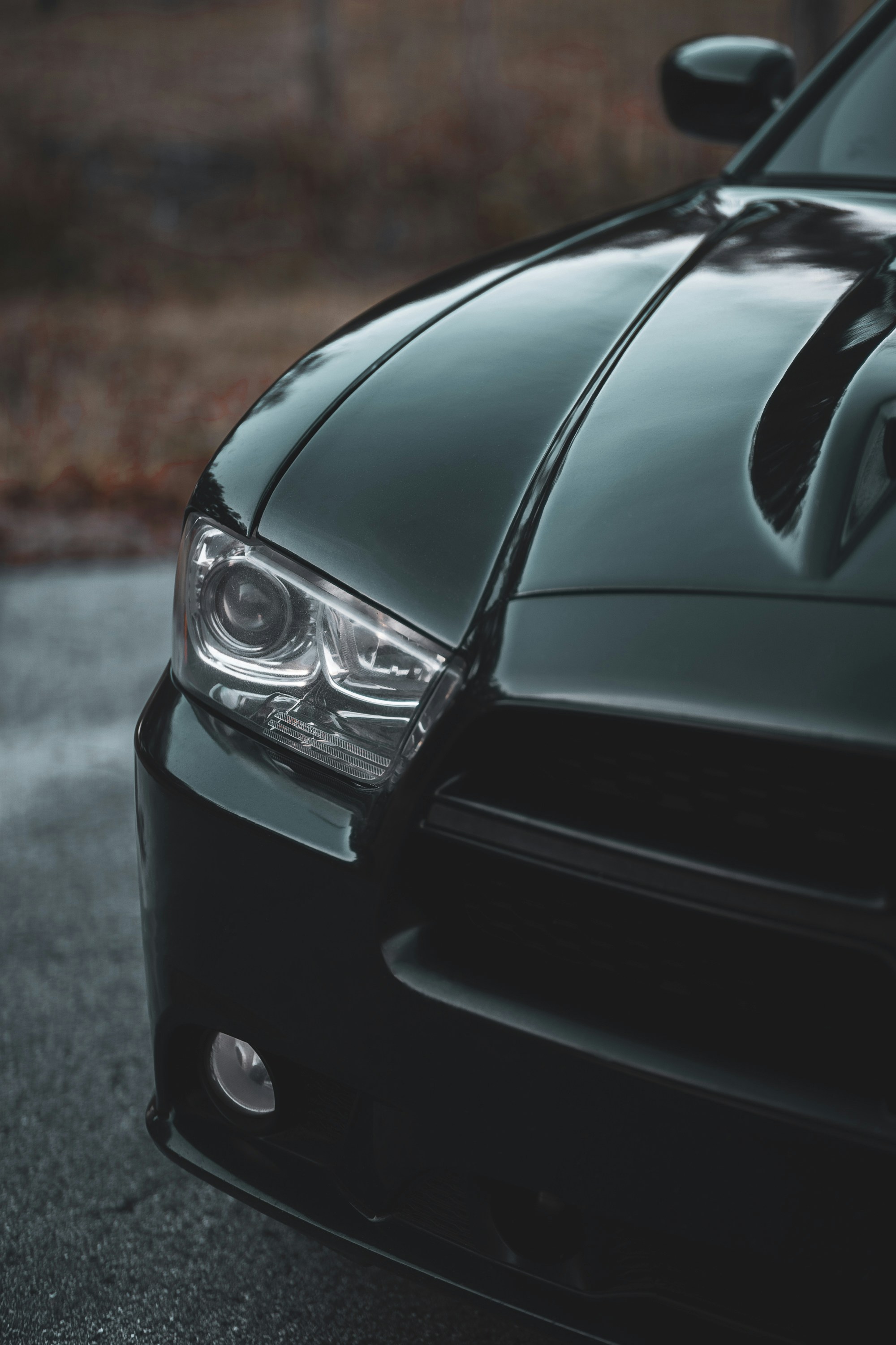 Photo by 535_productions