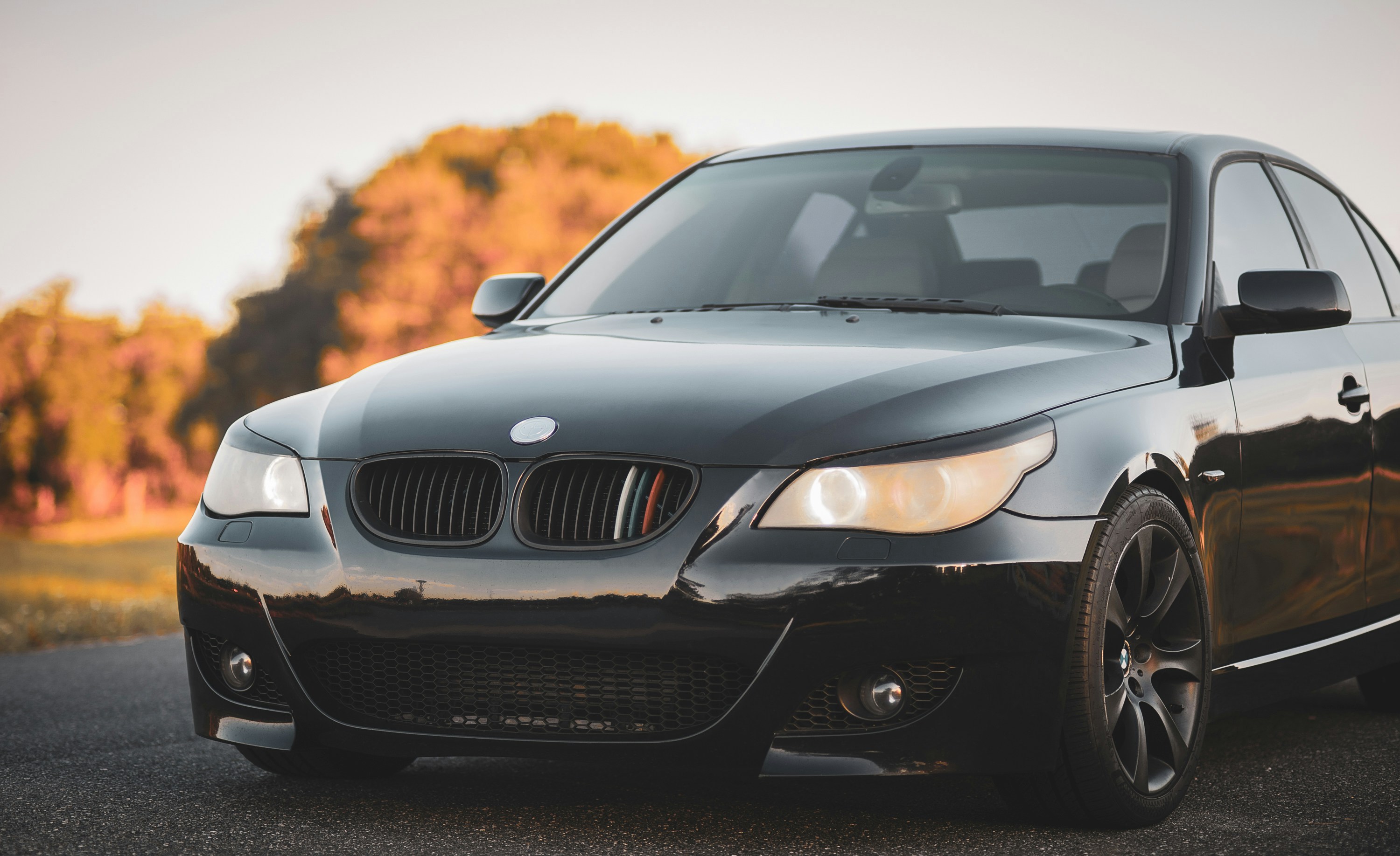 Photo by 535_productions