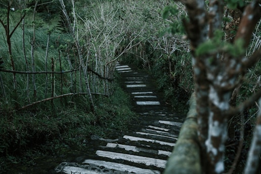gray stair
