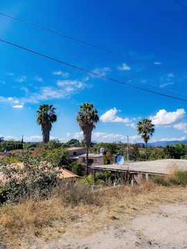 A rural landscape featuring three tall palm trees under a clear blue sky with scattered clouds. In the foreground, there is dry grass and a dirt road, leading to a small community of houses with red-tiled roofs. A satellite dish is visible on one of the flat rooftops. Power lines stretch across the top of the image.