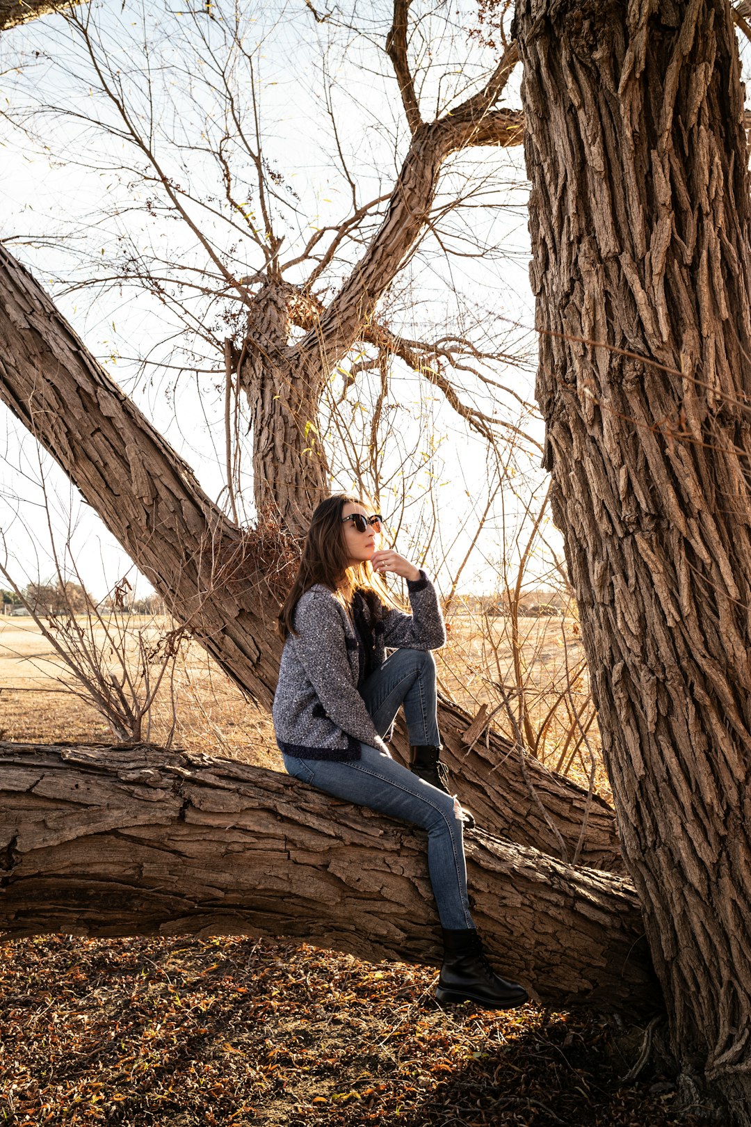 shallow focus photo of woman in gray jacket sitting on tree branch