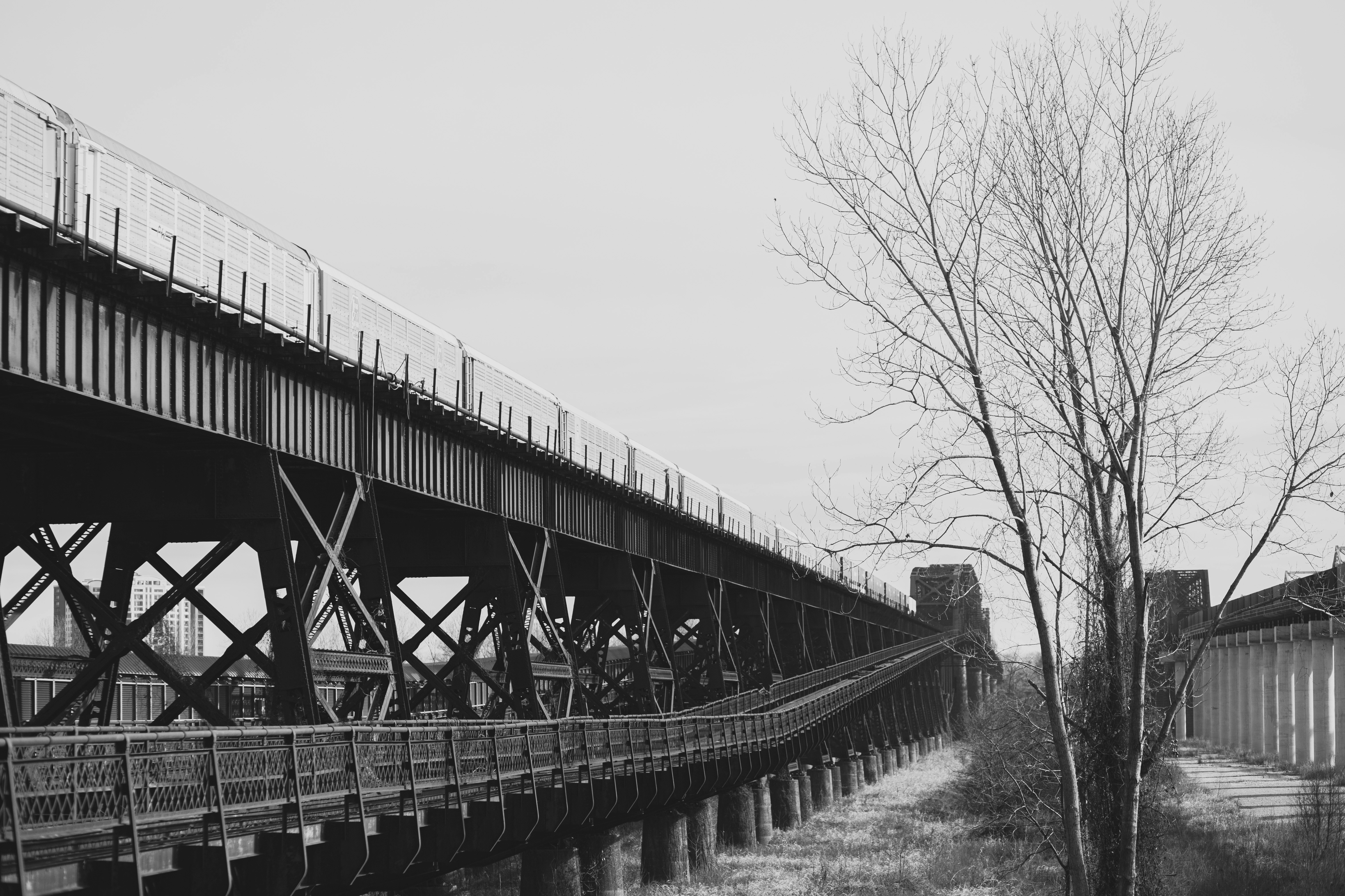 grayscale photo of bridge