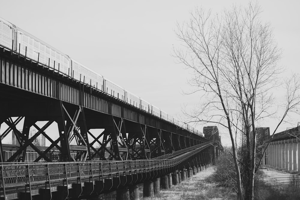 grayscale photo of bridge