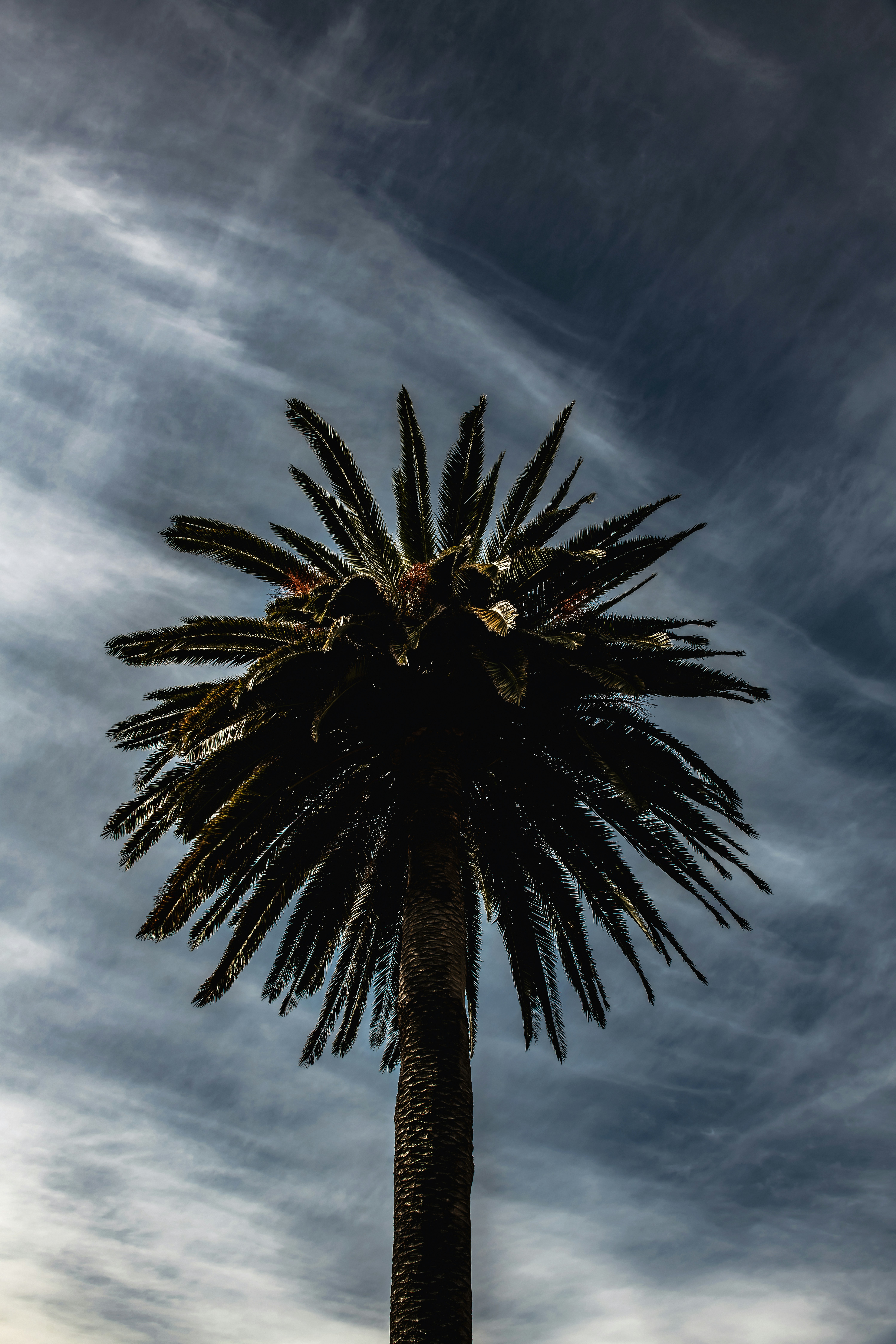 Photo by timmossholder