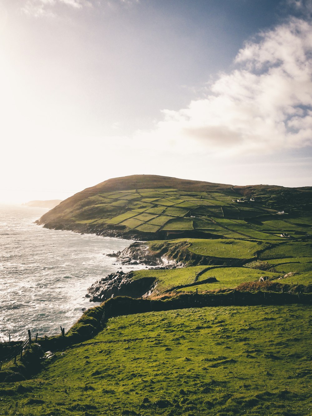 aerial photography of green field by the sea during daytime