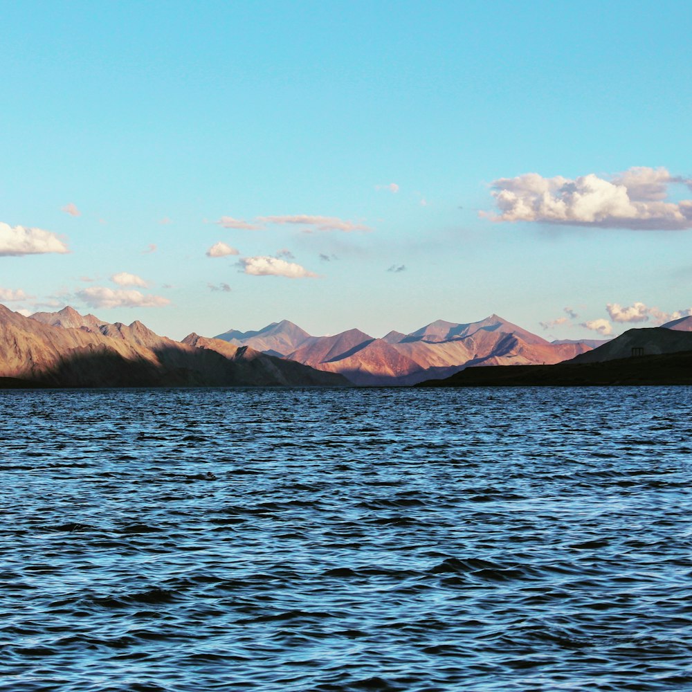 body of water during daytime