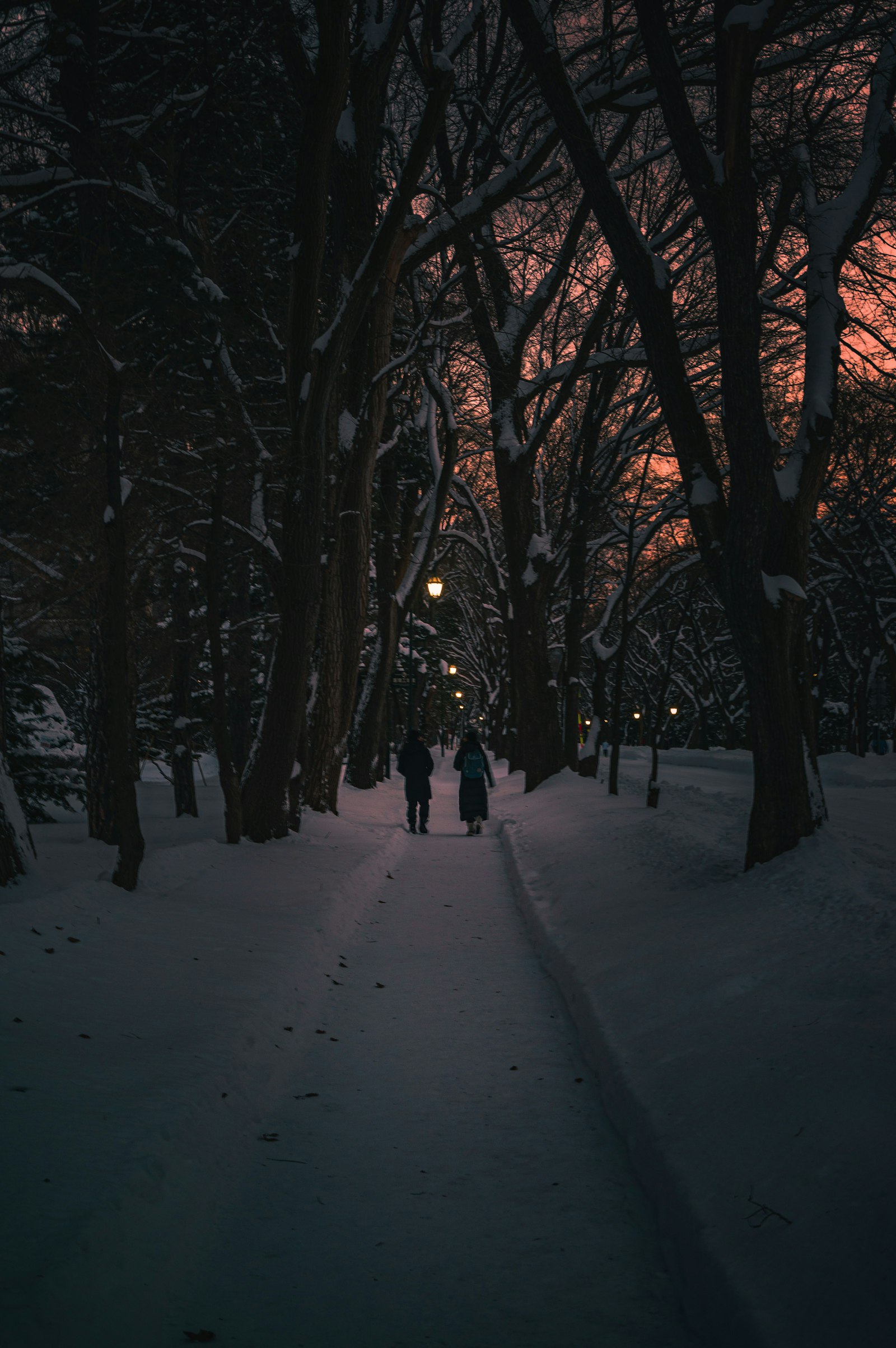 Nikon D610 + Nikon AF-S Nikkor 24-120mm F4G ED VR sample photo. Two persons walking along photography