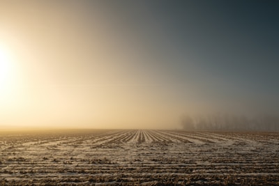 A peaceful agricultural field at sunrise, with rich soil ready for planting.