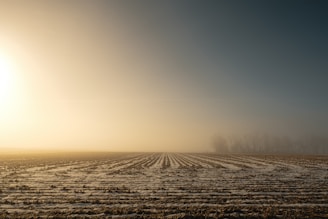 A peaceful agricultural field at sunrise, with rich soil ready for planting.