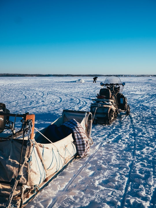 brown carrier in Yellowknife Canada