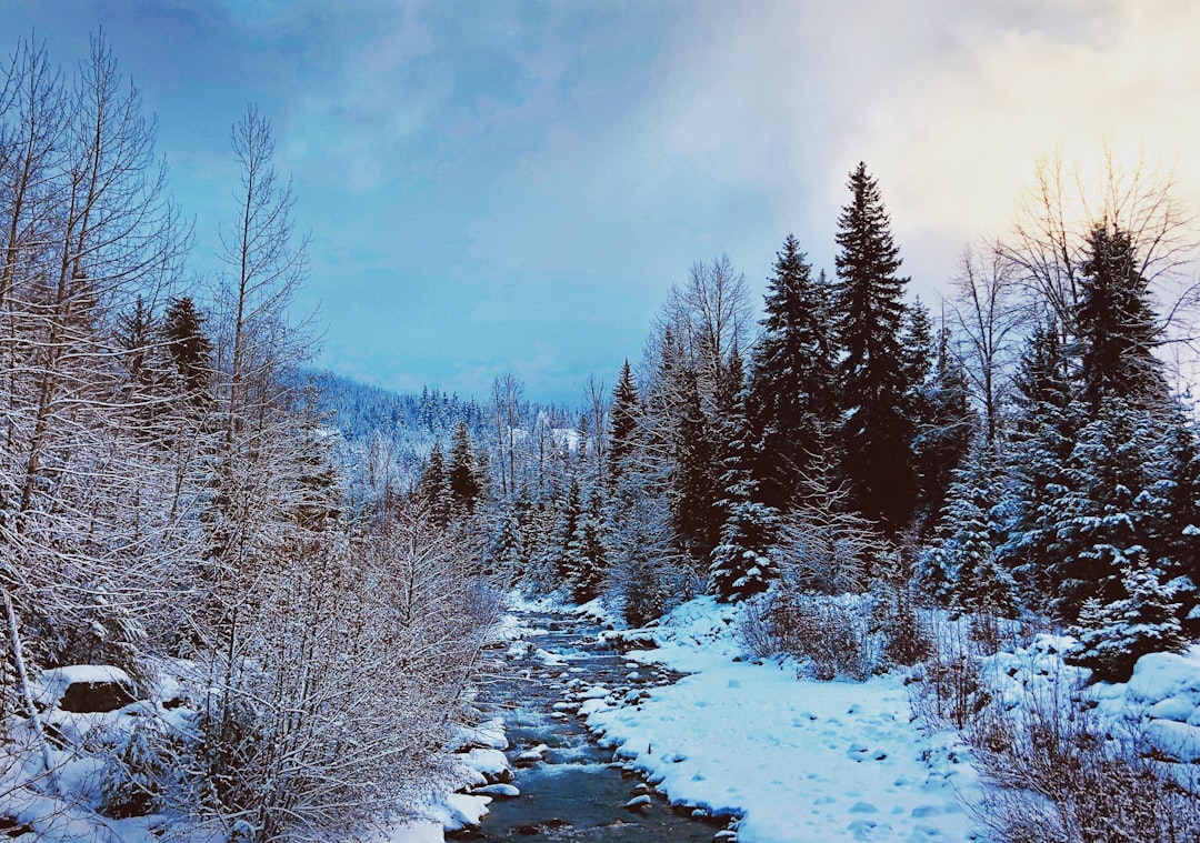 Nature reserve photo spot Whistler British Columbia