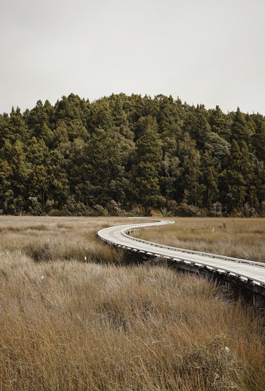 curved road in Okarito New Zealand