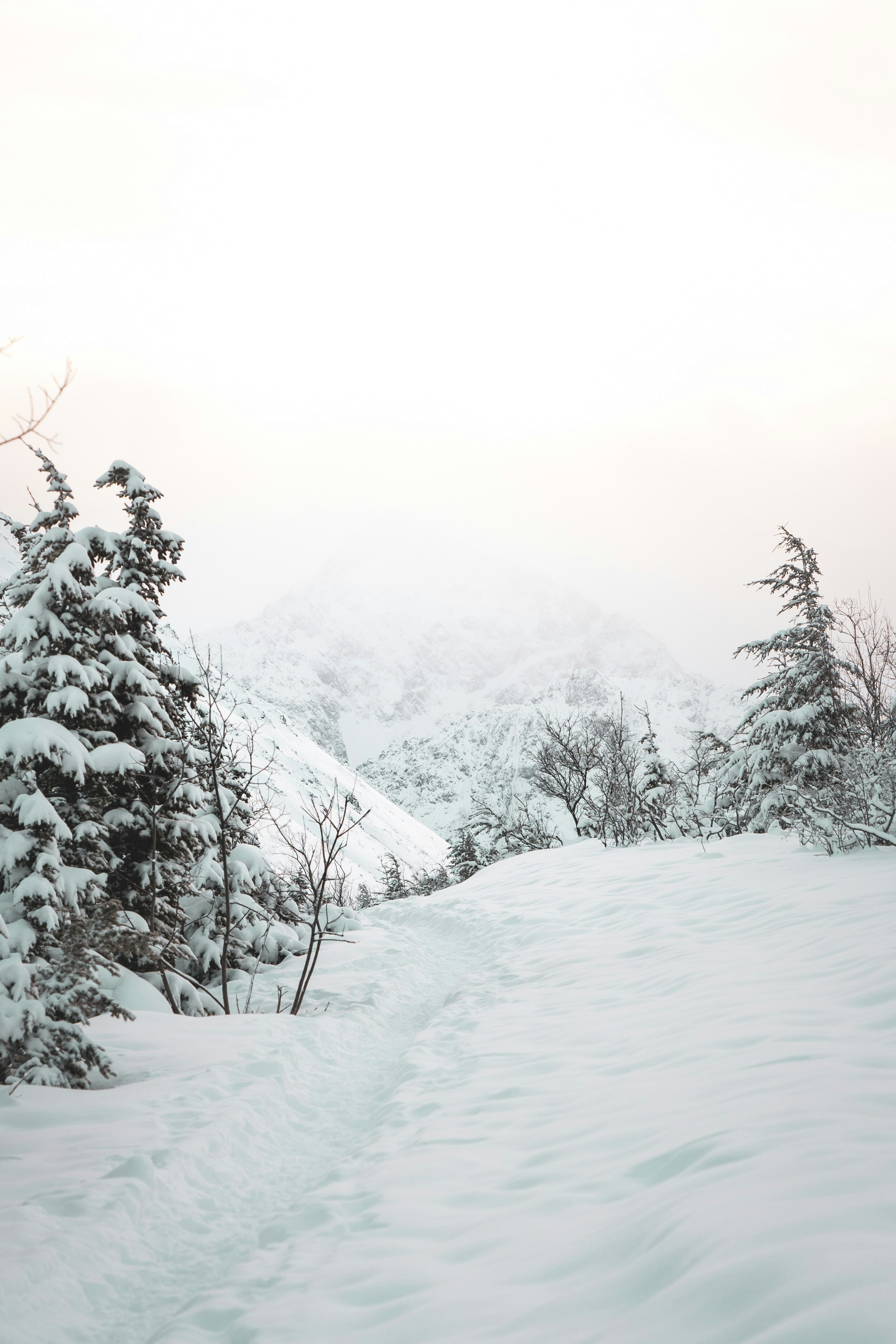 Photo by jaron_mobley