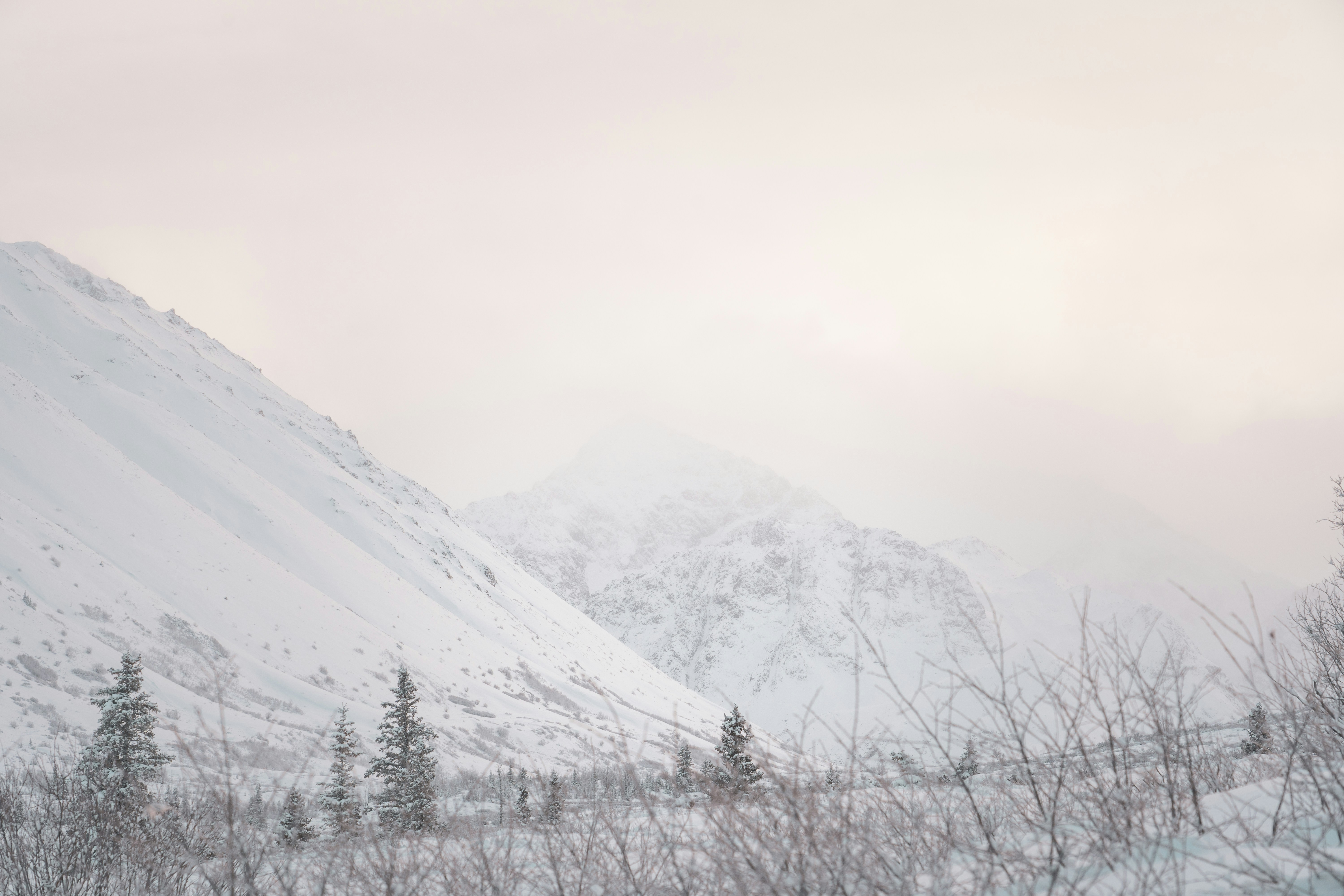 Photo by jaron_mobley