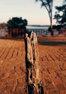 A close-up of a sturdy real estate post.