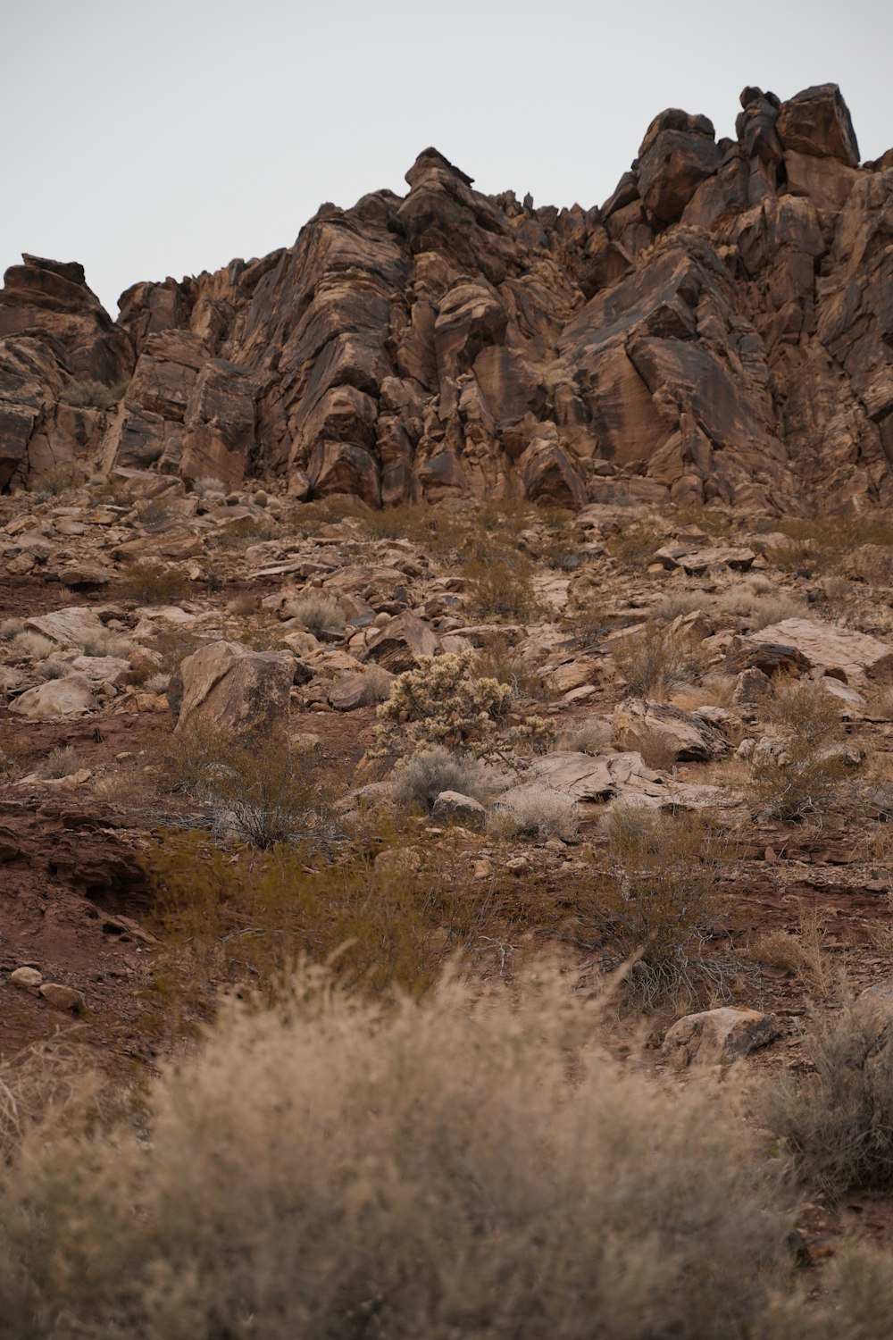 low angle photo of mountain