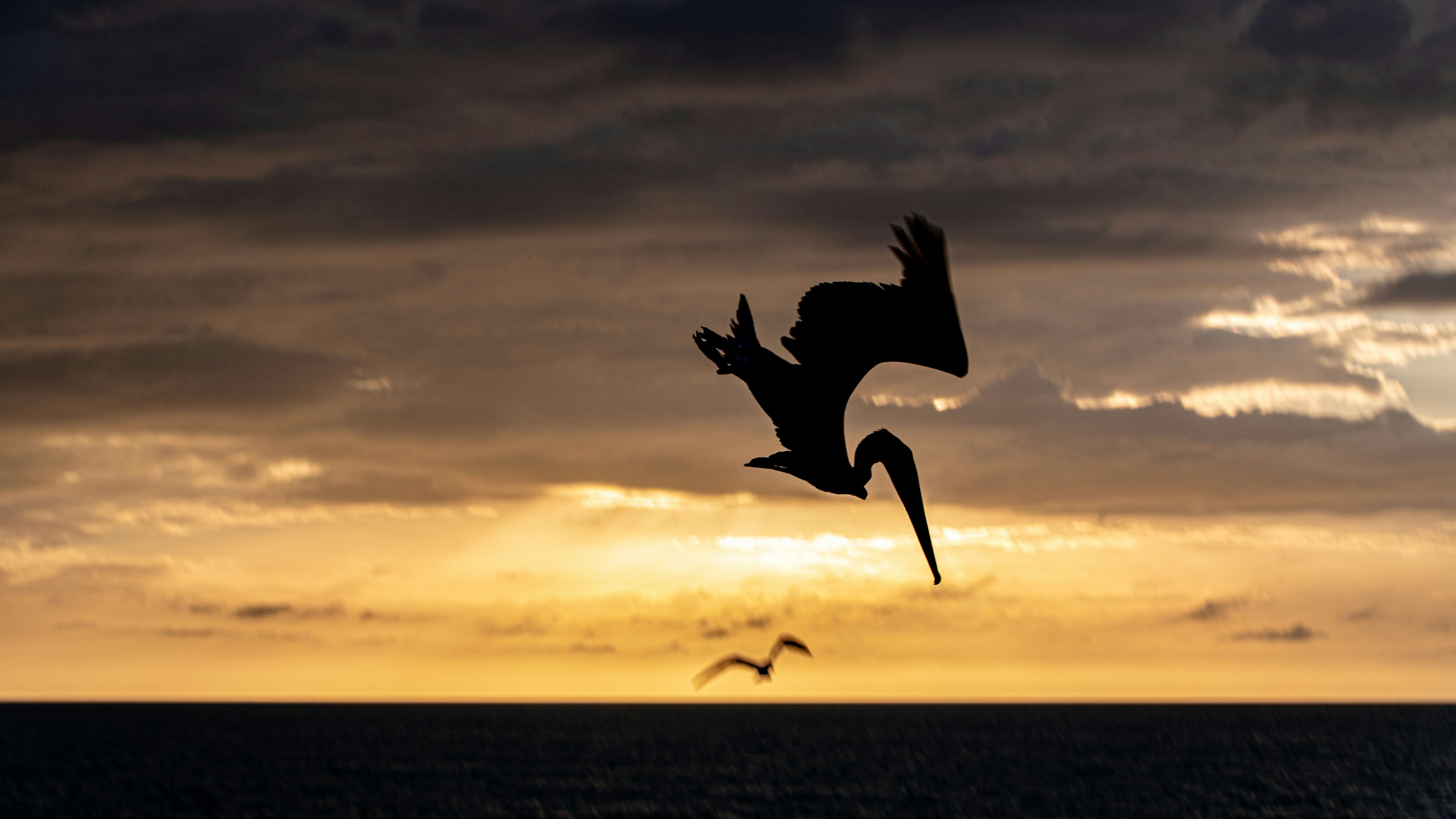 Person smiling confidently after choosing insurance plan