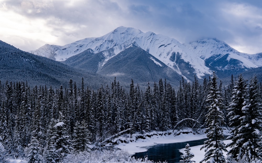 wide angle photo of mountain covered with snow