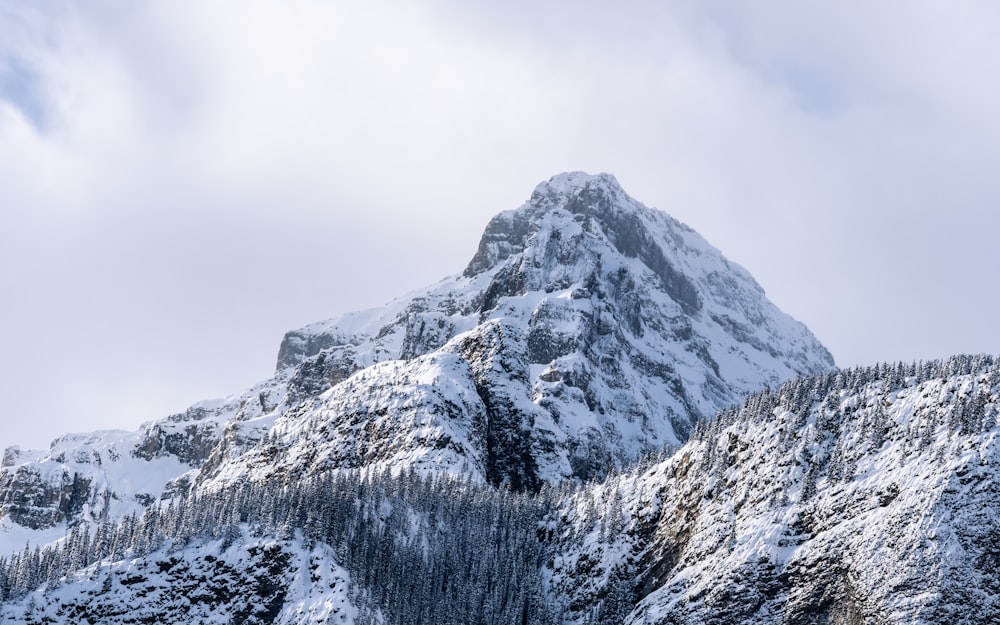 mountain covered with snow