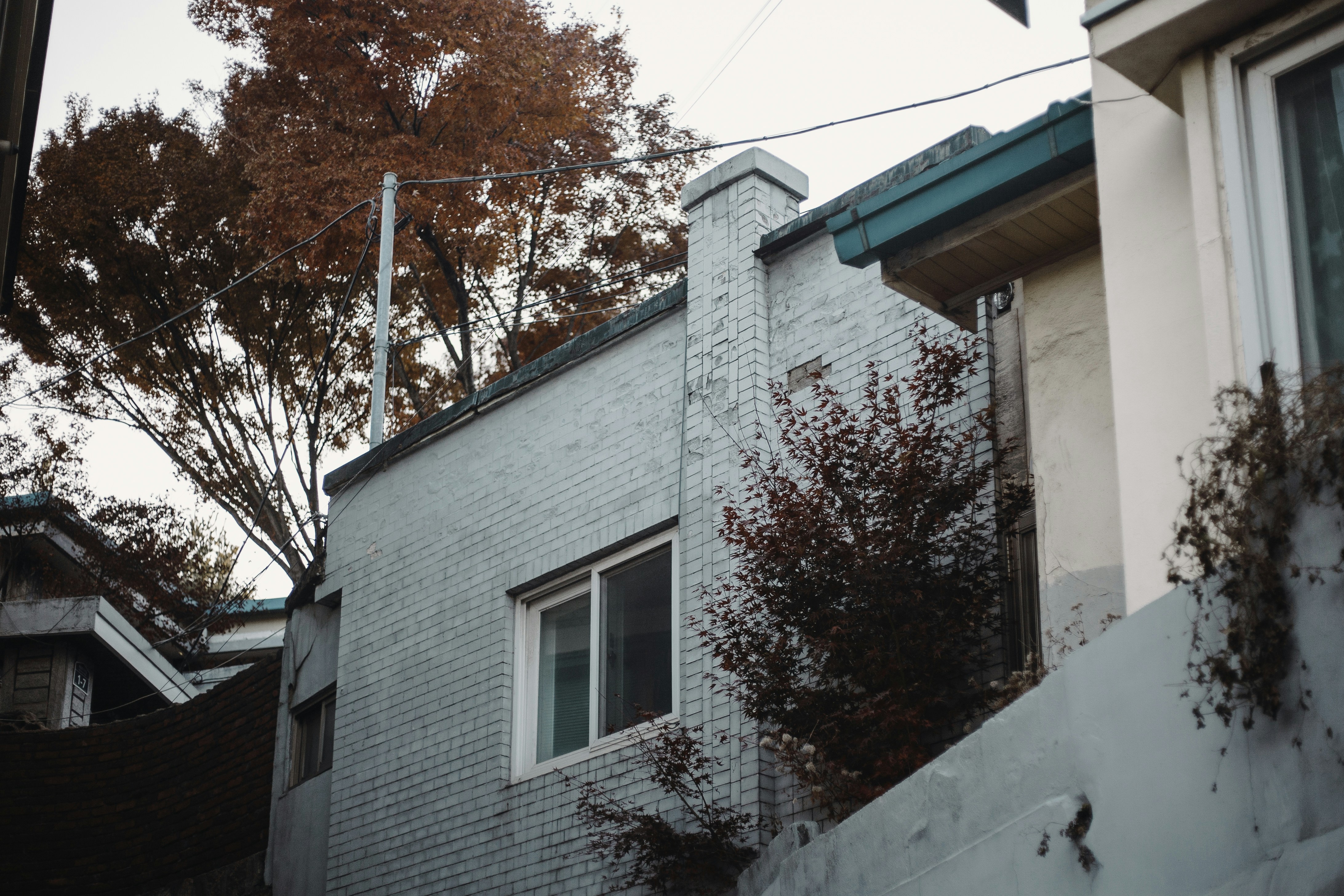 Photo by thanhserious_93