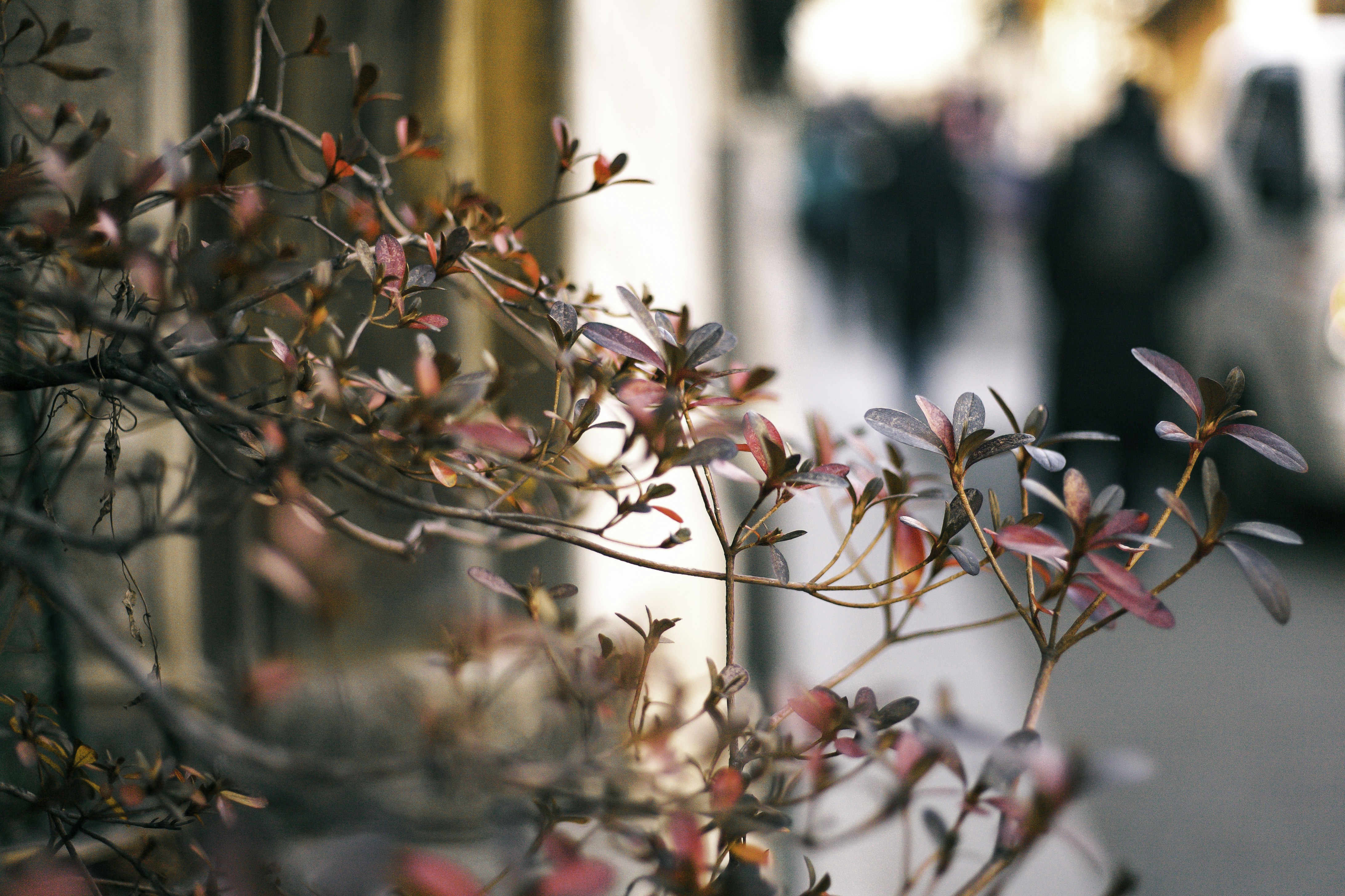 Photo by thanhserious_93