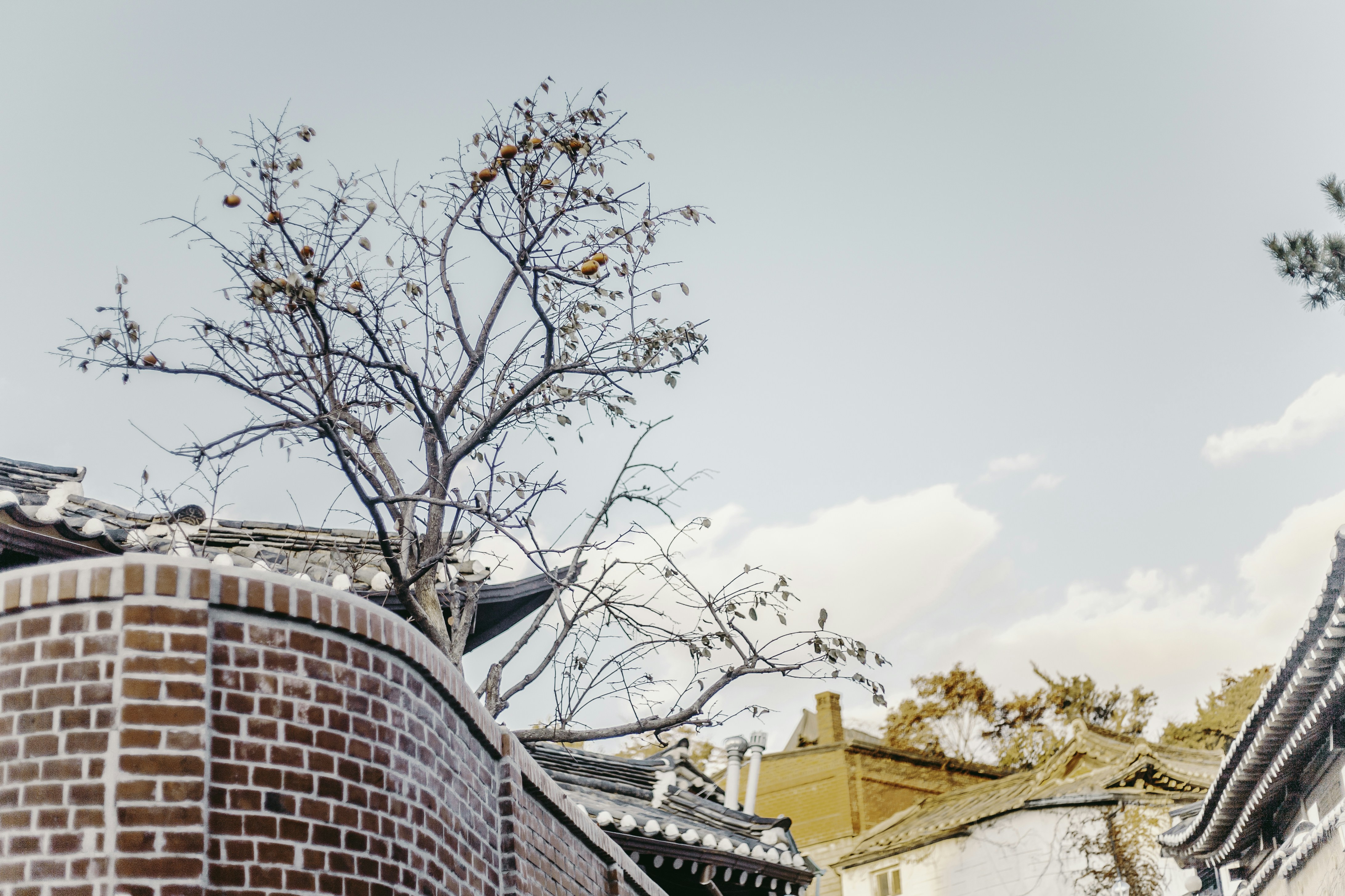 Photo by thanhserious_93