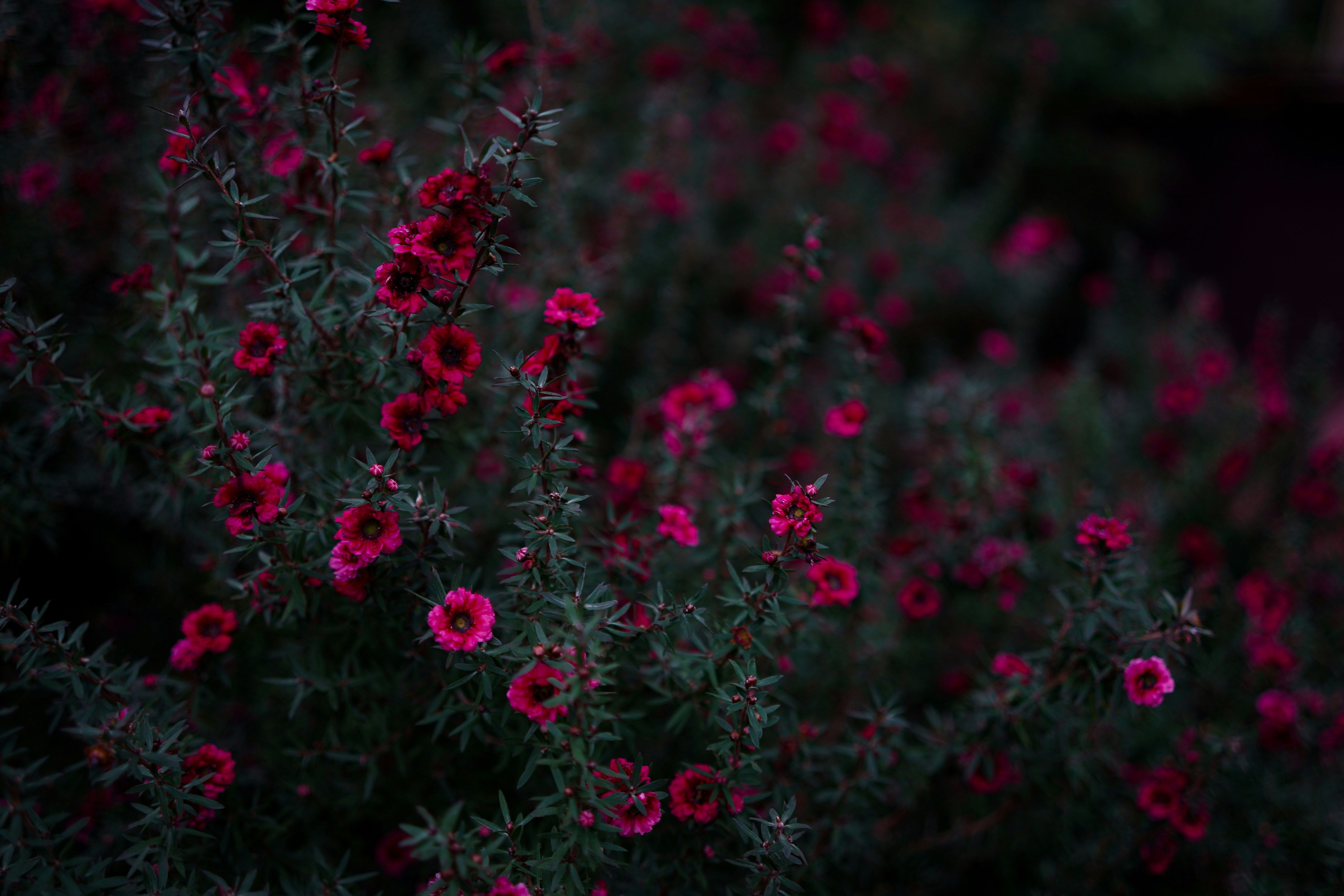 Photo by kdncode