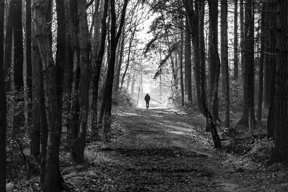 uomo che cammina sulla strada sterrata vicino agli alberi durante il giorno