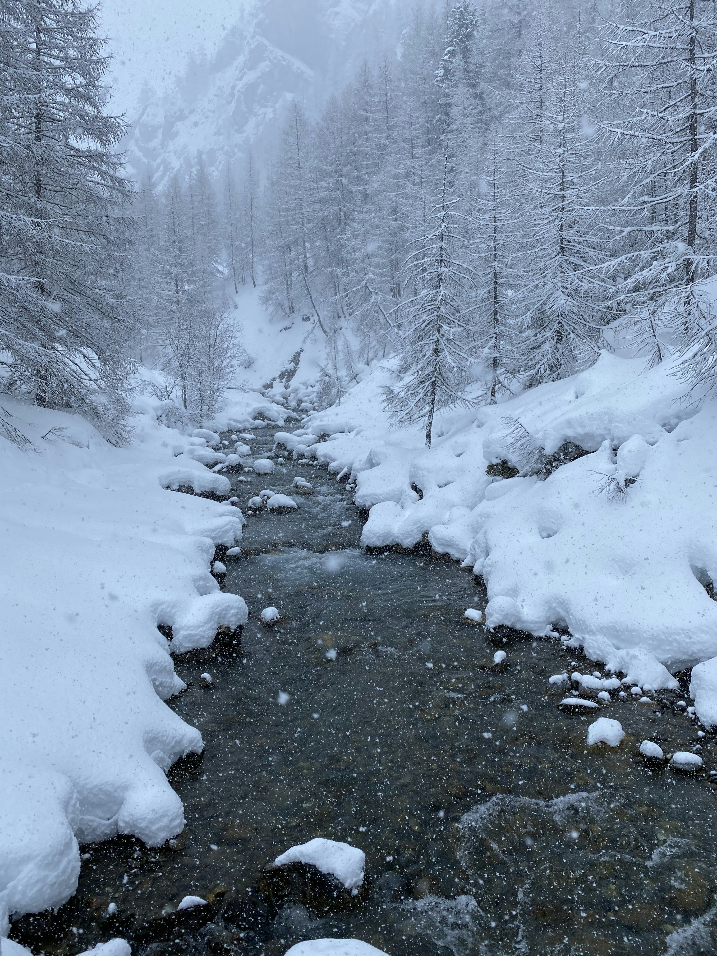 Photo by olgakulikova