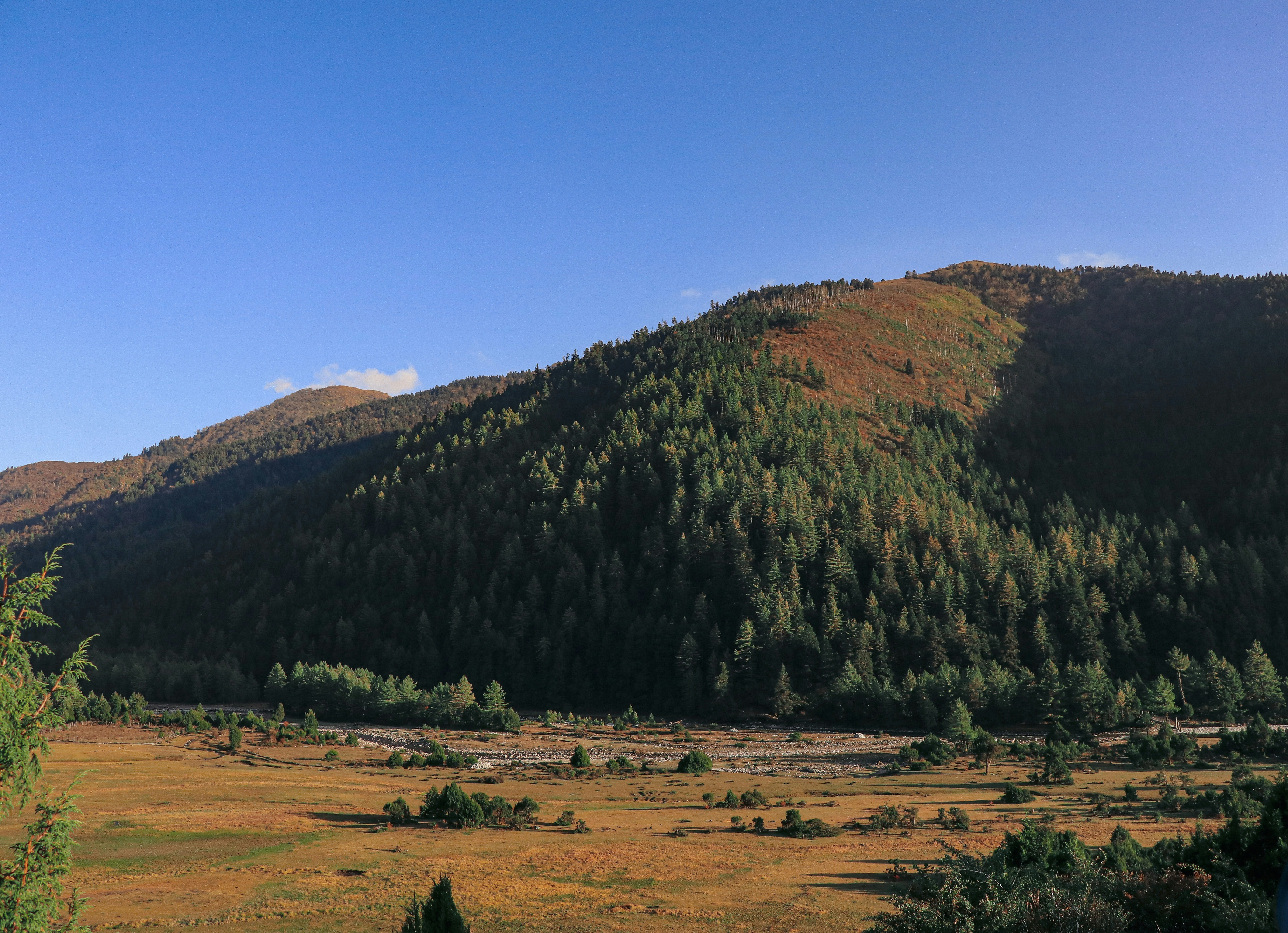 Photo by milankhatri