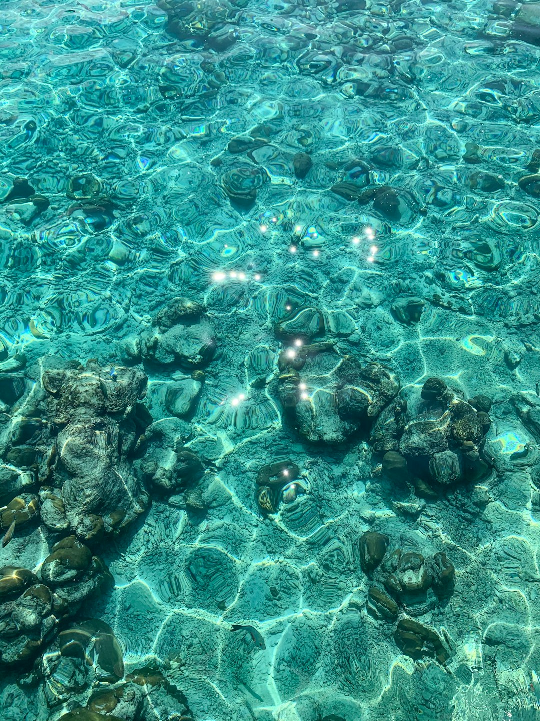 Underwater photo spot Maldive Islands Felidhoo