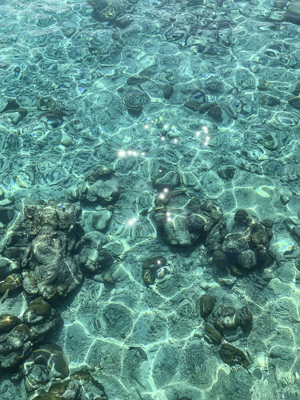 rocas en el cuerpo de agua