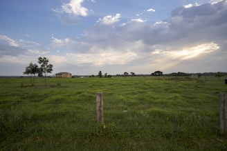 A sunny plot of land with green grass and a few trees, ready for building a dream home.