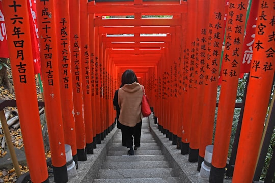 people walking on concrete stairs in Shinto shrine in Hie Shrine Japan