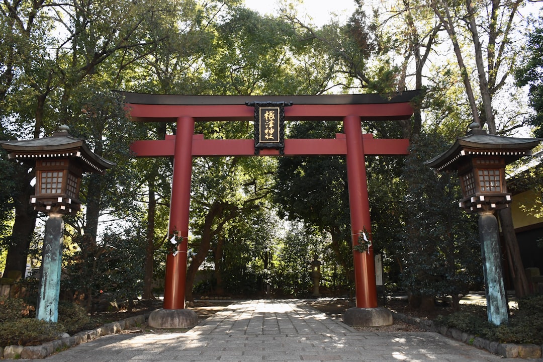 Temple photo spot Nedu-jinja Shrine Ueno Station