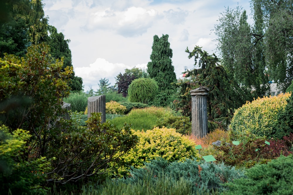 variety of green plants and trees in a garden