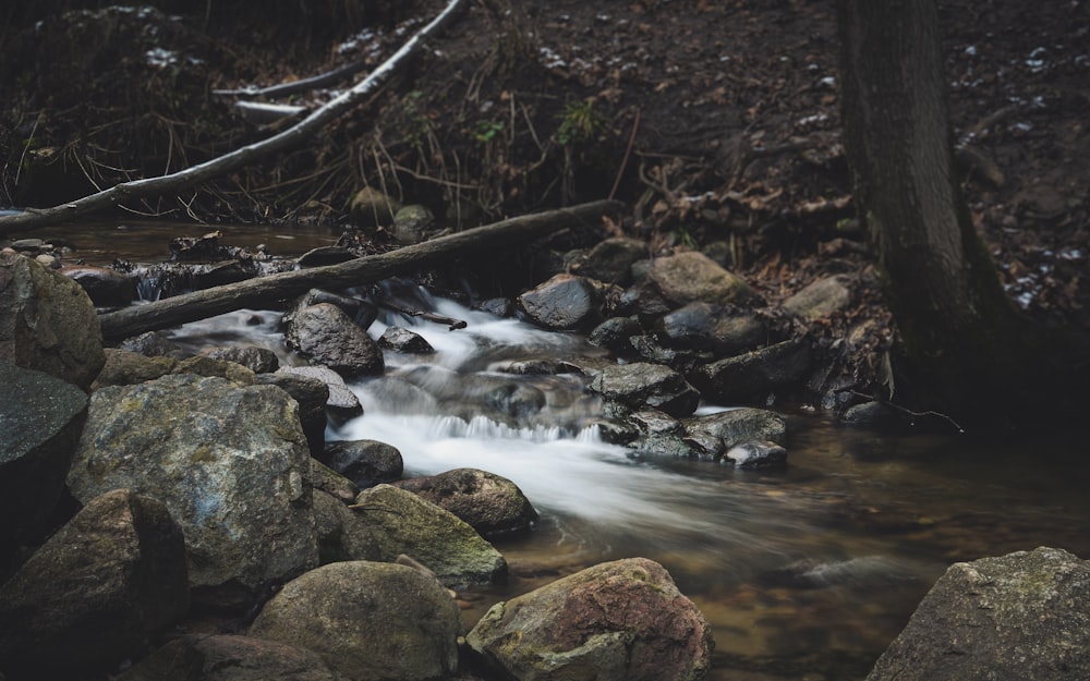 Río rocoso durante el día