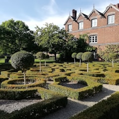 A meticulously landscaped garden featuring geometric hedges and topiary trees. The garden is in front of a traditional brick building with multiple windows and ornate roof details. The scene is bathed in sunlight, highlighting the greenery and architecture.