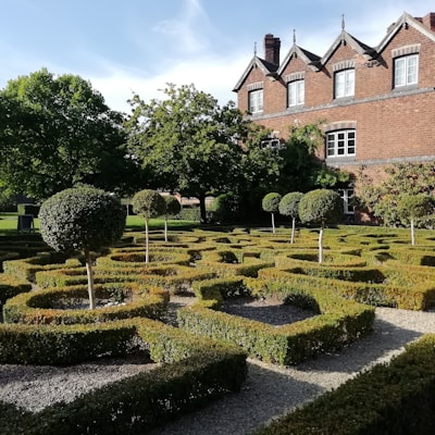A meticulously landscaped garden featuring geometric hedges and topiary trees. The garden is in front of a traditional brick building with multiple windows and ornate roof details. The scene is bathed in sunlight, highlighting the greenery and architecture.
