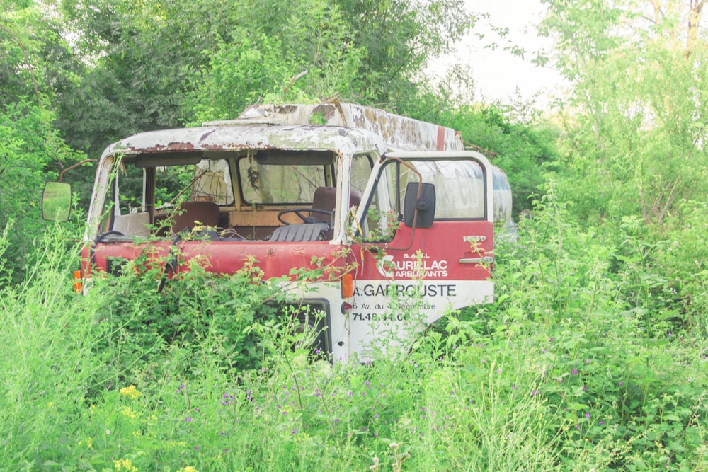 abandoned white and red RV truck surrounded by trees and plants