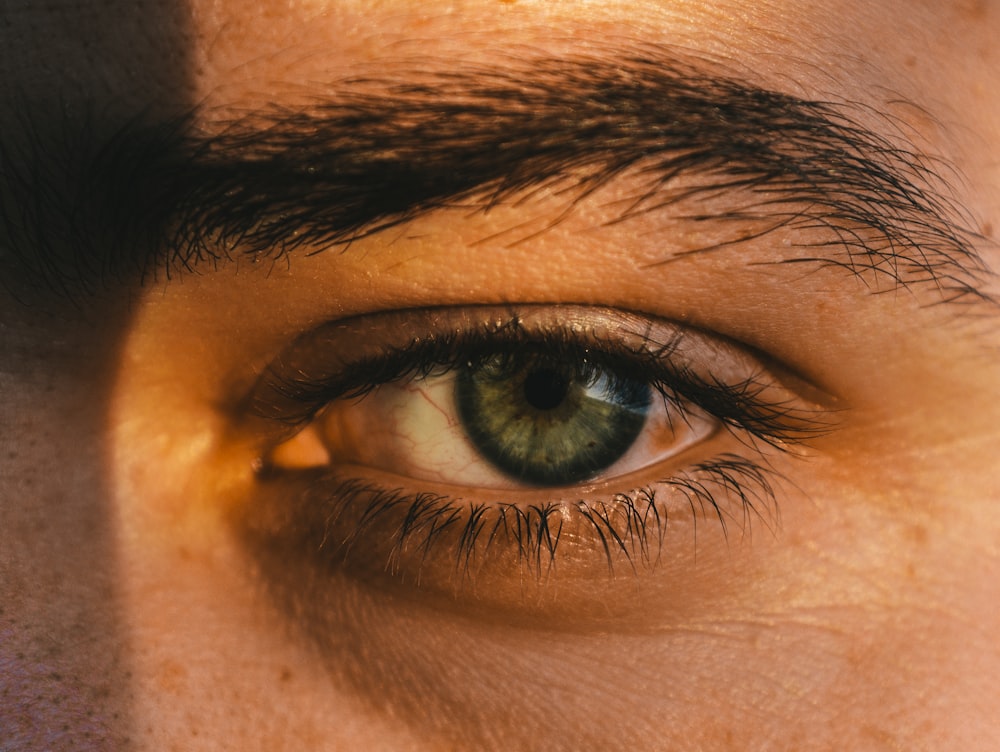 shallow focus photo of person's green iris